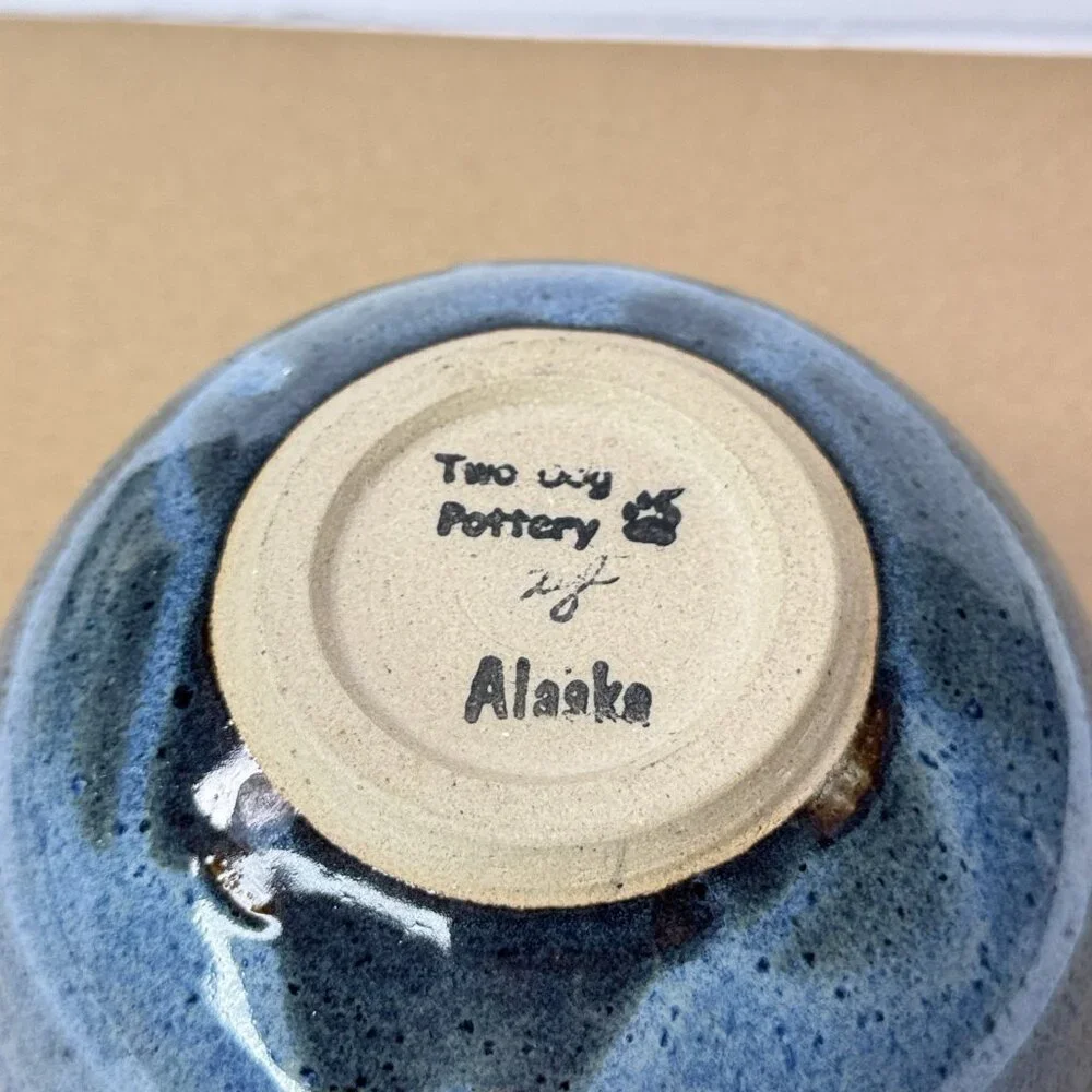 Two Dog Pottery Alaska Bowl Noodle Chopstick Blue Speckled Glazed Ceramic Swirl
